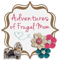 Adventures of a Frugal Mom Cary summer camps