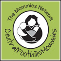 Central Foothills Mommies Asheville summer camps